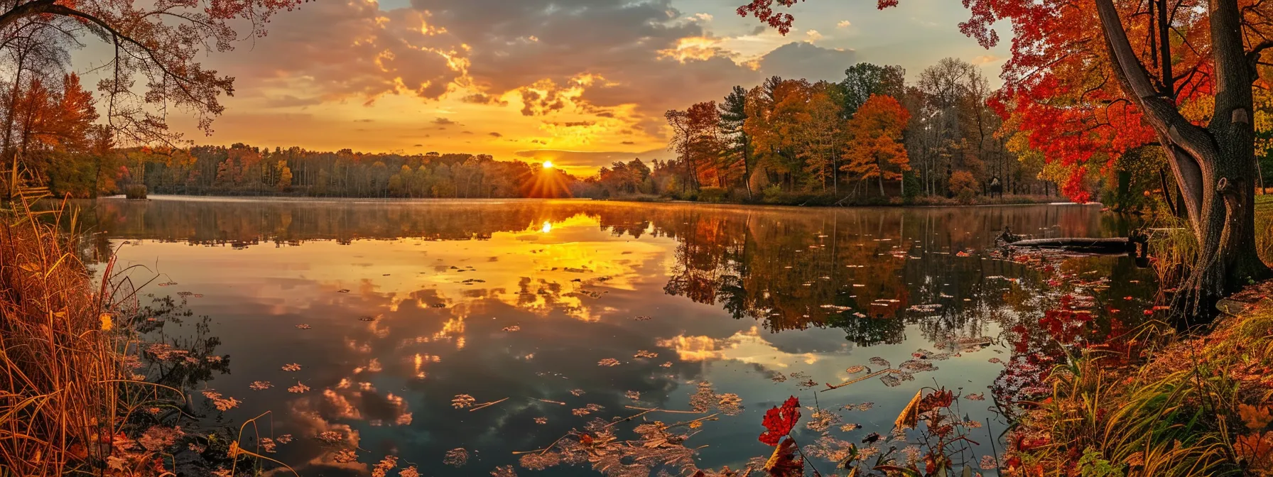 a breathtaking sunrise casts a warm golden glow over a tranquil lake, where vibrant autumn leaves drift lazily on the water’s surface, reflecting the colorful tapestry of the trees surrounding the serene landscape.
