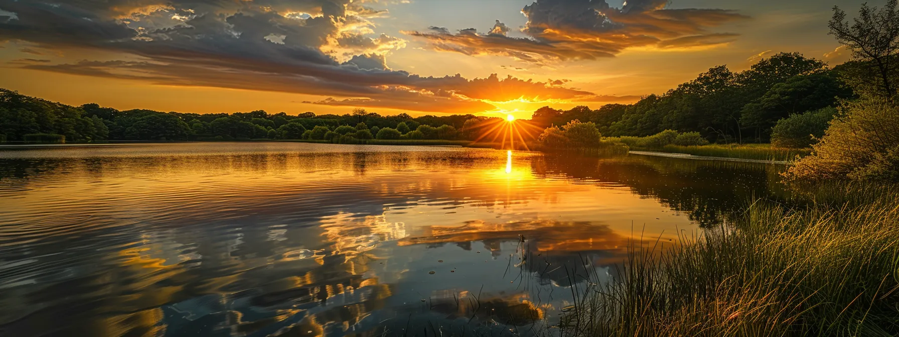 a breathtaking sunset casts golden hues over a tranquil lake, reflecting the fiery sky and lush greenery, evoking a sense of peace and serenity.