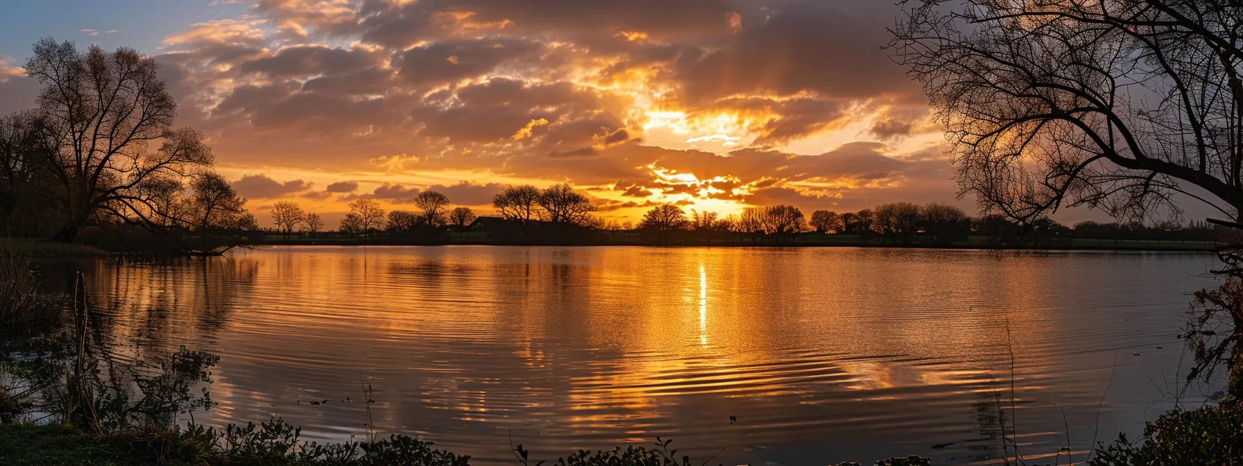 a serene sunset bathes a tranquil lake in golden hues, with silhouetted trees framing the reflection of the vibrant sky on the water’s surface.