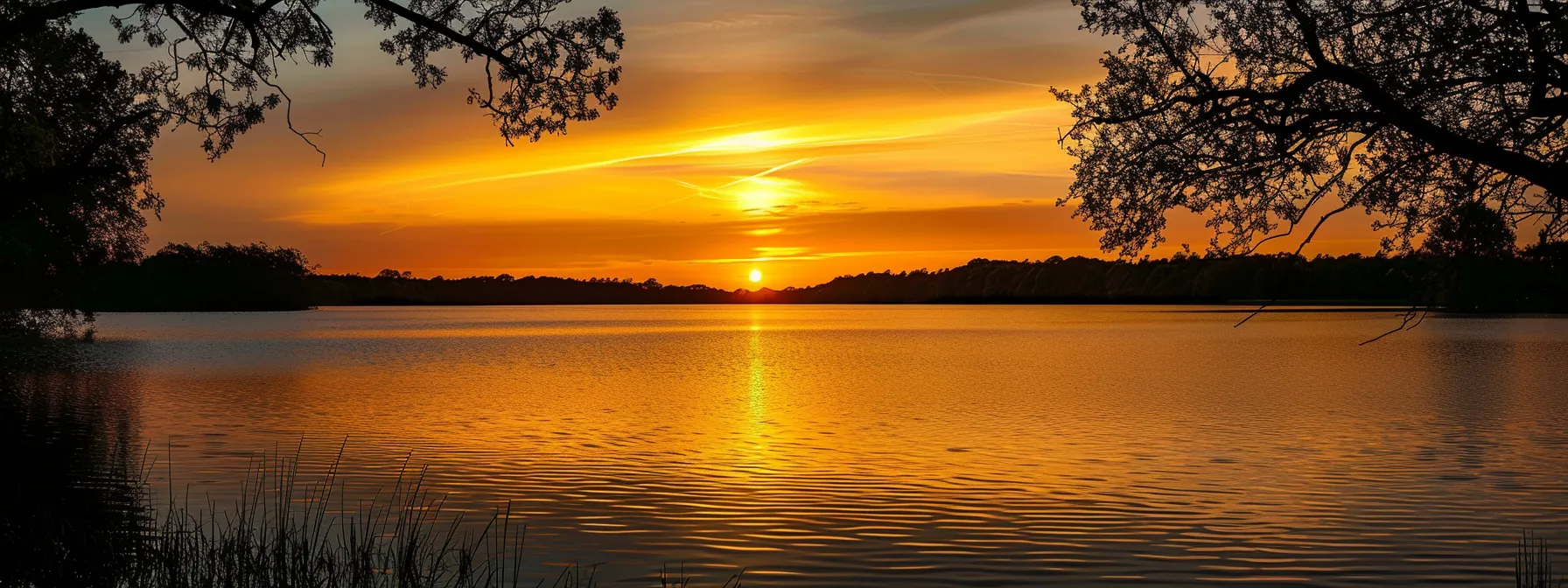 a striking photograph of a vibrant sunset casting golden hues over a serene lake, with silhouetted trees framing the tranquil water's surface.