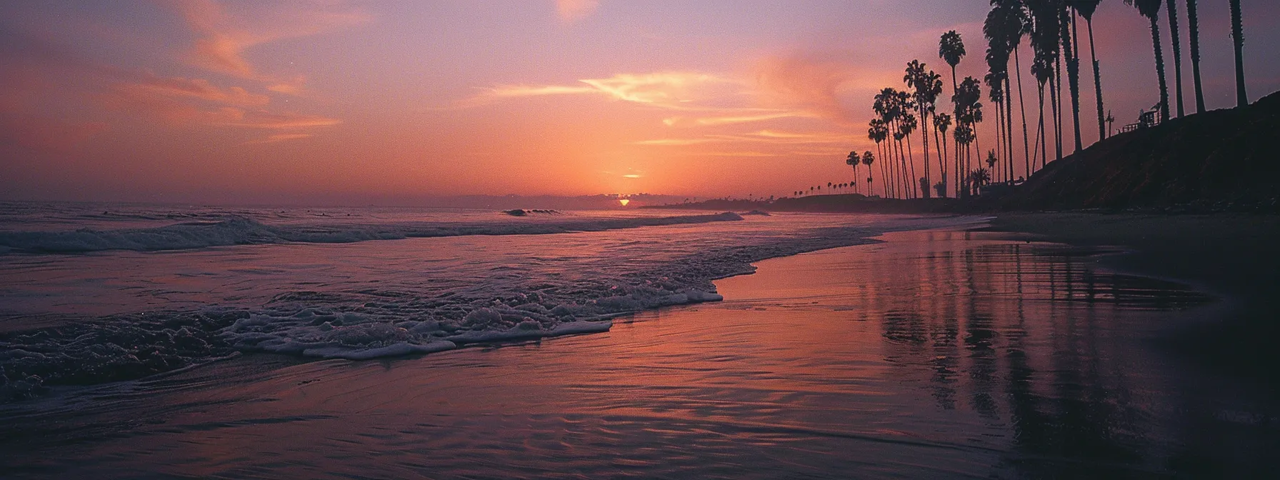 a vibrant sunset casts a warm glow over a serene beach, with gentle waves lapping at the shore and silhouetted palm trees swaying in a light breeze.